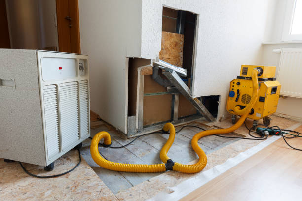 Best Mold Remediation for Healthcare Facilities  in Alma, MI