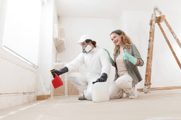 Best Mold Odor Removal Services  in Alma, MI